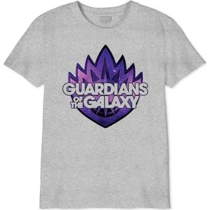 Marvel T-shirt voor meisjes, Grijs Melange, 6 Jaren