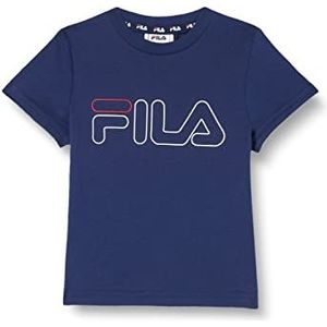 FILA Unisex kinderen SAARLOUIS T-shirt, Medieval Blue, 98/104, medieval blue