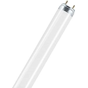 Osram TL-buizen, 36 W, 76 Shop, 1 stuk (verpakking van 1)