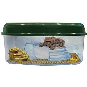 Namiba Terra 12082 Starterset, Habitat Box woestijnen, maxi, vlak, met kleine velshoogte, kokoshol en woestijnhout en mini-waterkap, Spiderbowl, 59 x 46 x 29 cm, geel