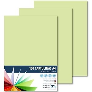 Raylu Paper® A4 100 stuks groen 180 g, 210 x 297 mm, zacht gevoel, ideaal voor binden, kantoorwerk, tekenen, knutselen, geschikt voor school. (appelgroen)