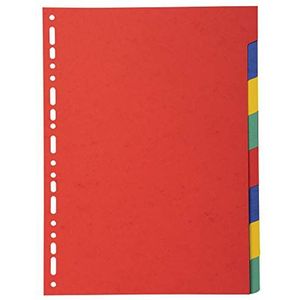 Exacompta - ref. 2008E - Felgekleurde gerecycleerde tabbladen 220g/m2 met 8 neutrale tabs - Formaat A4 - Afmetingen: 22,5 x 29,7 cm