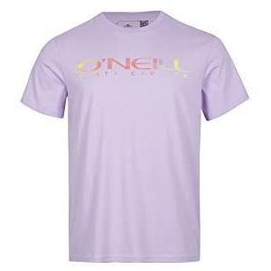O'NEILL Sanborn T-shirt voor heren