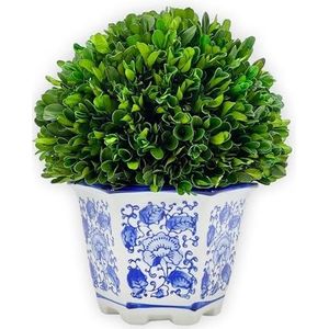 Galt International Geconserveerde natuurlijke buxus in keramische pot - plant en tafel middenstuk - prachtig groen en plant decor voor thuis - blauw en wit - 24 cm lang