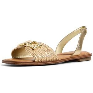 ALDO Women's Agreinwan Flat Sandal, Gold, 6.5