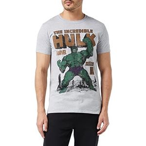 Marvel Heren Hulk Rage T-Shirt