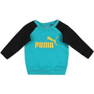 Puma Minicats ESS Raglan Jogger Fluid Joggingbroek, Model Minicats ESS Raglan Jogger Fluid, 1-2 jaar