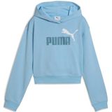 Puma Ess 2 Color Nº 1 Logo​ Hoodie