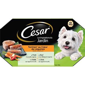 CESAR Terrine Trays voor Honden — Gastronomisch eten met hart van groenten — Rundvlees — Kip — Gevogelte en Turkije — 6 pakjes van 4x150g
