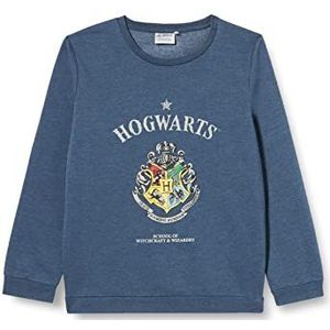 Sweatshirt, trainingspak en sweatshirt Harry Potter