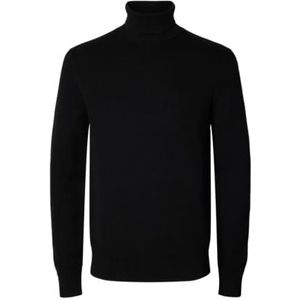 Selected Homme - SLHDANE LS KNIT STRUCTURE ROLL NECK - Heren Trui - Zwart - Regular Fit