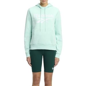 Reebok Identity Big Logo Fleece Hoody, Glitch Aqua, XXS Dames, Glitch Aqua, XXS