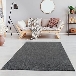 Fashion4Home - Tapijt woonkamer – effen tapijt, effen tapijt voor de kinderkamer, slaapkamer, werkkamer, kantoor, hal en keuken - laagpolig tapijt grijs, afmetingen: 120 x 170 cm