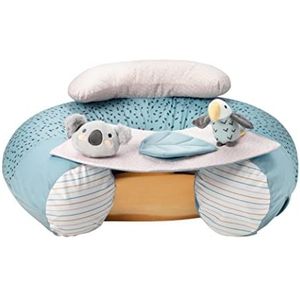 Nuby - Animal Adventures Sit-Me-Up baby stoel - Zit- en speelstoel voor op de vloer - Afneembaar blad - Machinewasbaar - 6+ maanden