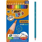 BIC Kids ECOlutions Evolution Kleurpotlodenset voor kinderen vanaf 5 jaar, kleurpotloden zonder hout, met onbreekbare vulling, veilig schrijven, 12 stiften in metalen doos