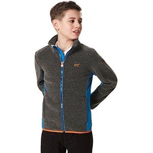 Regatta Ascendo fleece voor kinderen