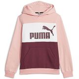 Puma Ess Block Fl Hoodie