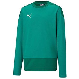 PUMA Kinder teamGOAL 23 Training Sweat Jr Trainingssweatshirt, Pepper Green-Power Green, 152