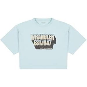 Wrangler Boxy Tee T-shirt voor dames, blauw, L
