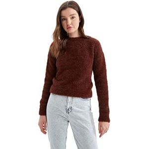 DeFacto Trui normale pasvorm voor dames - coltrui trui voor dames (bruin, XL), bruin, XL