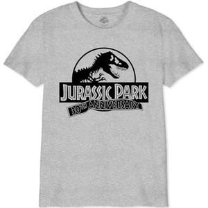Jurassic Park ""30th Anniversary"" BOJUPAMTS047 T-shirt voor jongens, grijs gemêleerd, maat 14 jaar, Grijs Melange, 14 Jaren