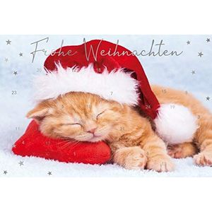 bsb Wenskaart kerstkaart adventskalender ""slapende kat met muts