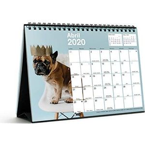 Miquelrius 28062 Tafelkalender A5 voor het schrijven van honden en katten 2020 Spaans