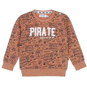 Dirkje Jongens Sweater, Rusty Brown, 62