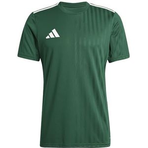 adidas Hombre CAMPEON25 JERSEY, team dark green/white, XXL