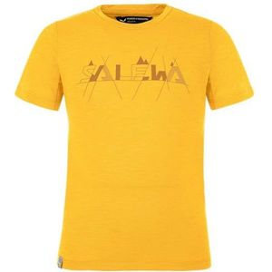 SALEWA T-shirt merk model Graphic Dry K S/S Tee