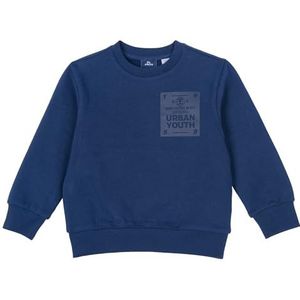 Chicco Sweatshirt voor kinderen, Medium Blauw, 9 mesi