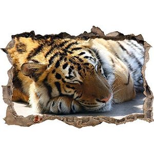 Pixxprint 3D_WD_3043_92x62 Tiger Wanddoorbraak 3D Wandtattoo, Vinyl, kleurrijk, 92 x 62 x 0,02 cm