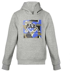 Kappa BTS Clot sweatshirt, grijs, 3Y voor kinderen