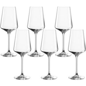 Leonardo Puccini Riesling-glazen, set van 6, vaatwasserbestendige wijnglazen, witte wijnkelk met getrokken handvat, 400 ml, 069540