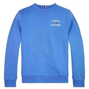 Tommy Hilfiger Sweatshirt met Th Logo voor jongens, Blauwe spreuk, 14 jaar