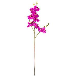 EUROCINSA Ref.43534C63 Orchidee PHALAENOPSIS, doos met 6 stuks, lavendel, 108 cm