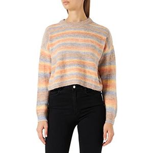 Pepe Jeans Dames Benne Lange Mouwen Breien, Veelkleurig (Multi), L