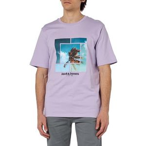 JJCELLOX Tee SS Crew Neck, Purple Rose, L