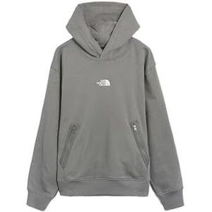 The North Face Heritage Graphic Relaxed Sweatshirt met capuchon voor heren Smoked Pearl L