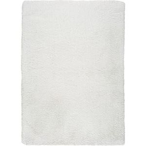 ECCOX - Shaggy hoogpolig tapijt van polyester - zacht en zeer sterk tapijt - machinewasbaar - entree tapijt, woonkamer, eetkamer, slaapkamer, kleedkamer, wit (80 x 150 cm)
