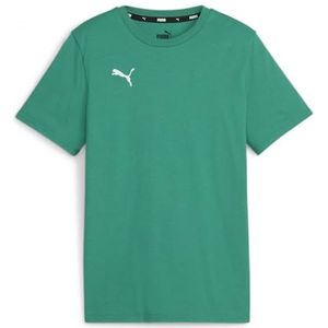 PUMA Unisex Teamgoal Casuals Tee Jr Tee
