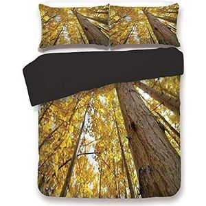 Andrea Conti 1005757 Damessandalen met hak