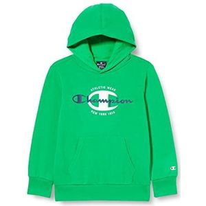 Champion Legacy Graphic Shop Powerblend sweatshirt met capuchon voor kinderen en jongens, Groen, 15-16 jaar