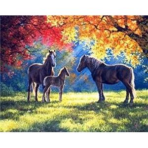 Diamond Painting Set, afbeelding met motief Paarden in de herfst en toebehoren, ca. 35 x 25 cm, knutselset om te beschilderen met glittersteentjes voor kinderen vanaf 5 jaar