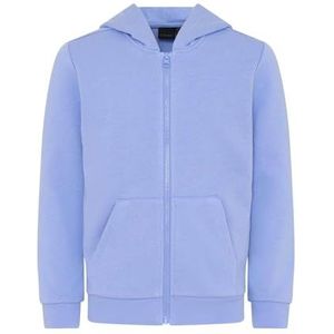 Kabooki Unisex sweatjack met capuchon KBSamy 100 Skate-capuchontrui, 654 Lavender Blue, 11-12 jaar, 654 Lavender Blauw