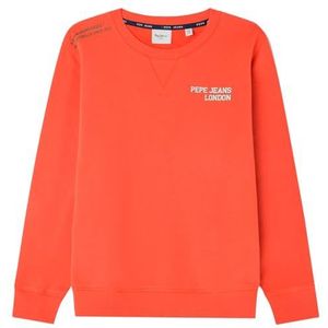 Pepe Jeans Ben Sweater voor jongens, oranje (gebrandoranje gebrand), 14 jaar, Oranje (Burnt Orange), 14 jaar