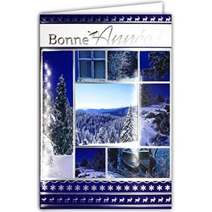 Wenskaart ""Happy Year"", zilver, met envelop, natuur, in de winter, sneeuwvlokken, bos, dennenbomen, Kerstmis, landschap, berg, vogel, hert, rendier, bark, blauw water, gelei, wensen 61-4053-B BA