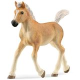 schleich 13951 Haflinger veulen, voor kinderen vanaf 5-12 jaar, Horse Club - speelfiguur