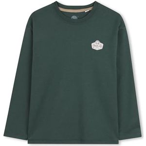 Timberland T60531 T-shirt voor jongens, Groente, 4 Jaren