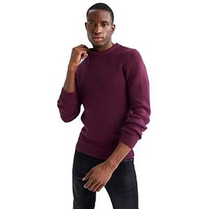 DeFacto Heren gebreide trui lange mouwen ronde hals sweater - slim fit trui voor heren tops (paars, XL), lila, XL